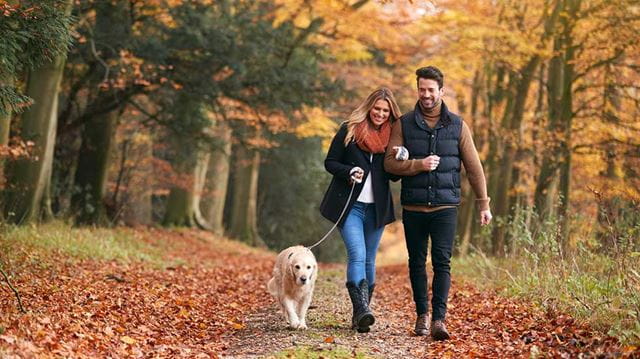Best autumn walks in the UK man and woman walking dog in forest